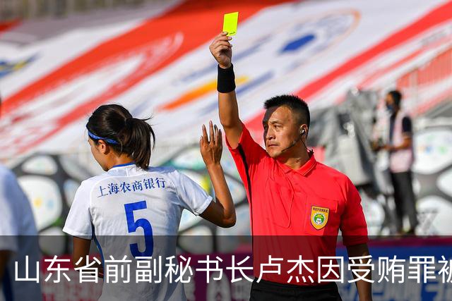 山东省前副秘书长卢杰因受贿罪被起诉