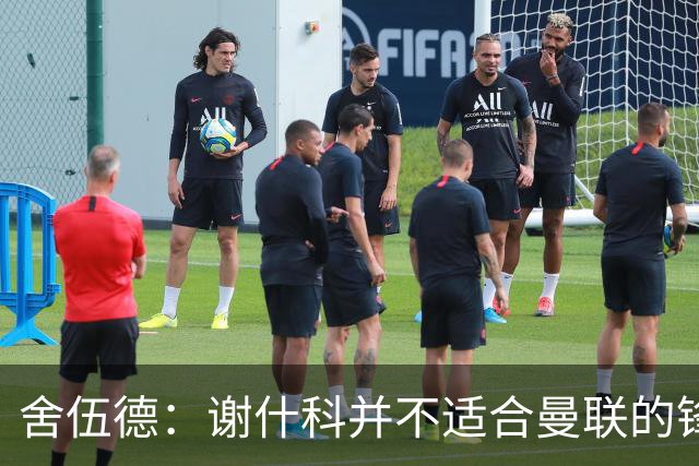 舍伍德：谢什科并不适合曼联的锋线布局