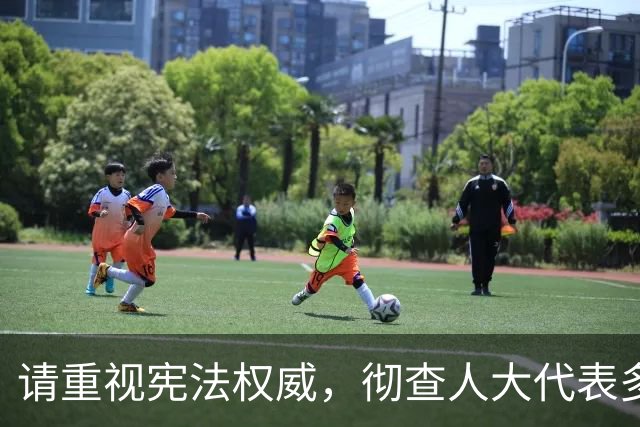 请重视宪法权威，彻查人大代表多吉扎西的非法拘留和逮捕